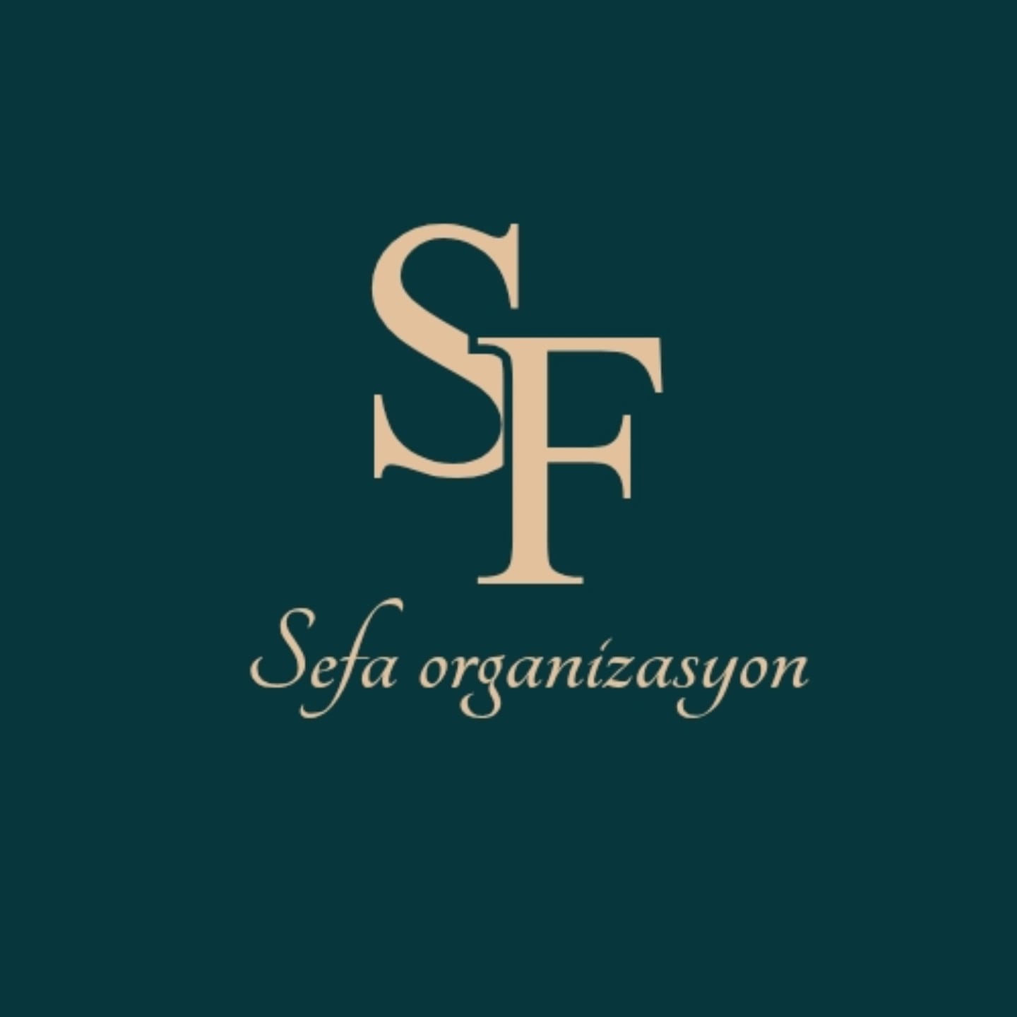 Loading Logo